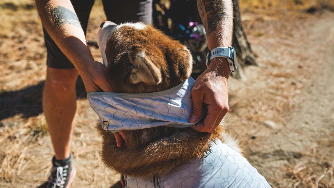 LEICHTGEWICHTIGES STRETCH