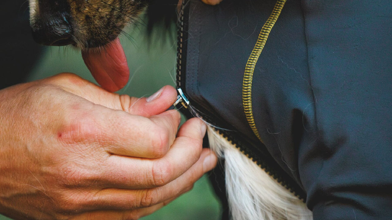 VOLLSTÄNDIGE ABDECKUNG