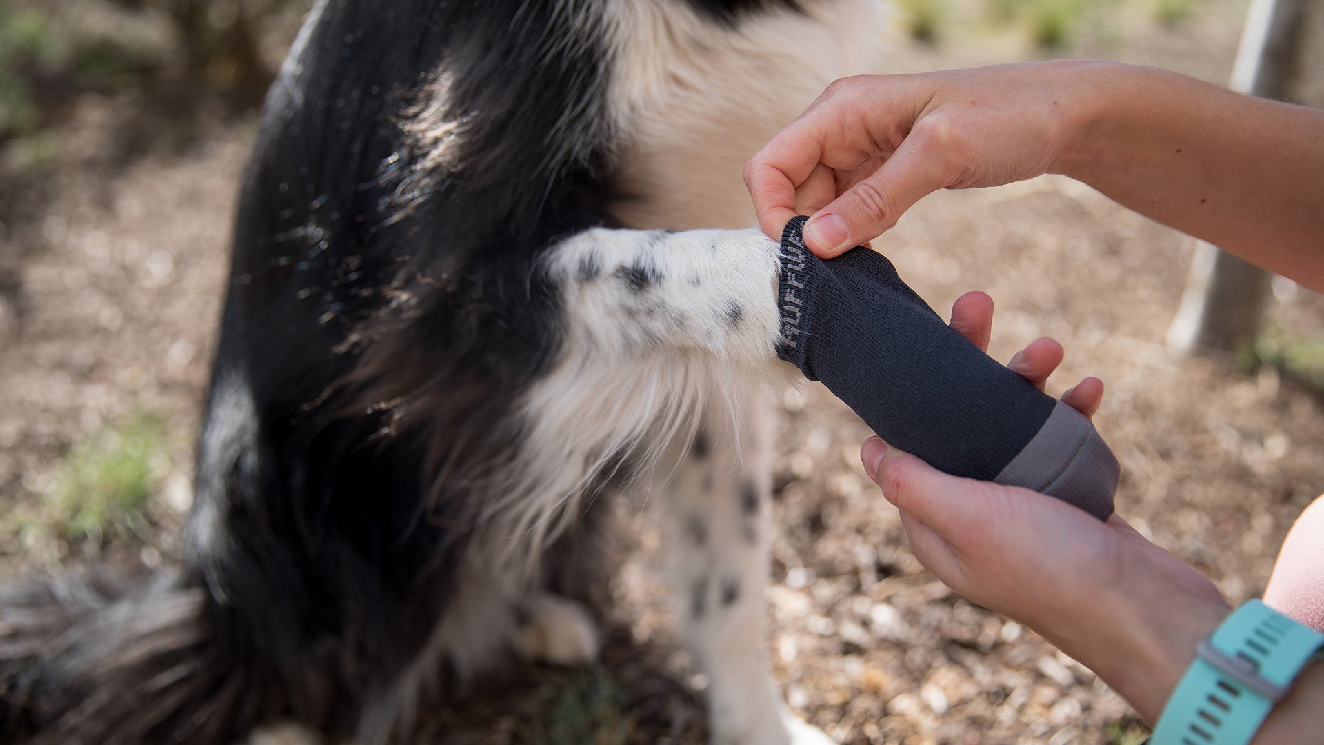 Bark n Boot Liners Hundesocken komfortabel schnell trocknend