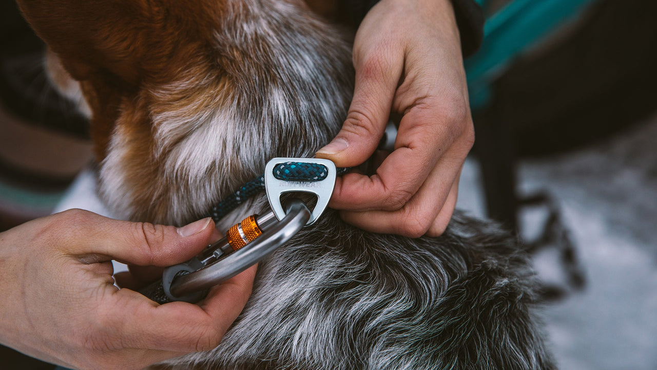 ZUVERLÄSSIGE VERBINDUNG