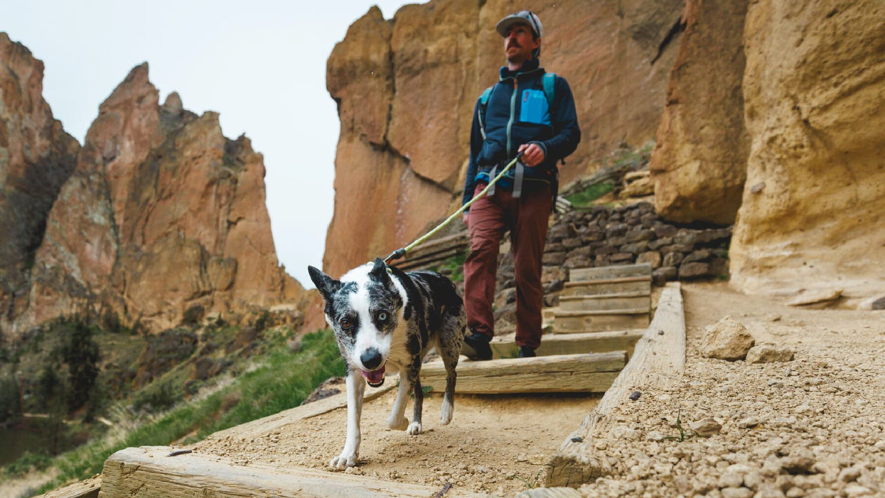 ZUVERLÄSSIGE VERBINDUNG