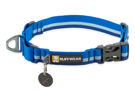 Web Reaction Martingale Dog Collar With Buckle Ruffwear