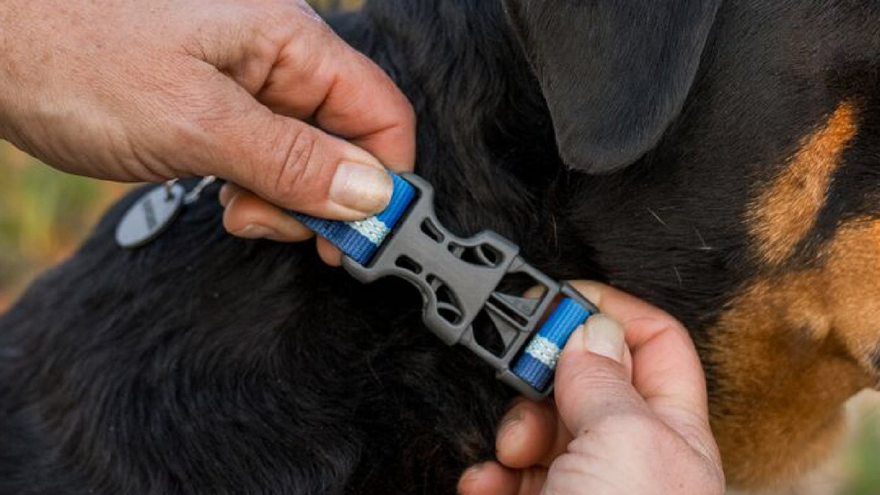 EINFACHES AN-/ABLEGEN