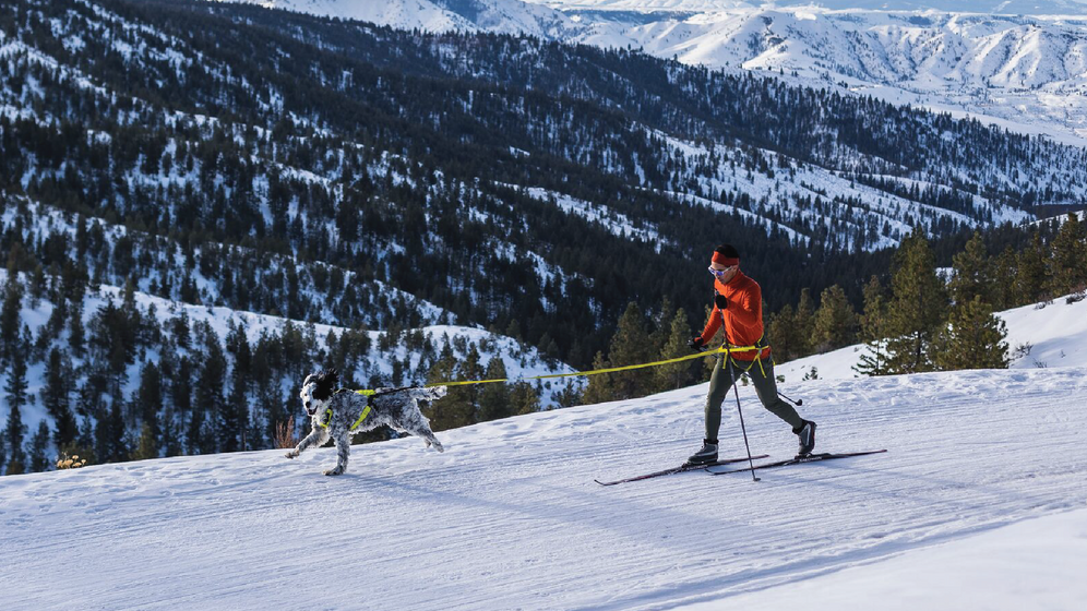 A propos du : Système de course Omnijore™ Video Thumbnail