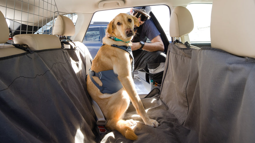 Load Up Car Harness Testing Design Ruffwear