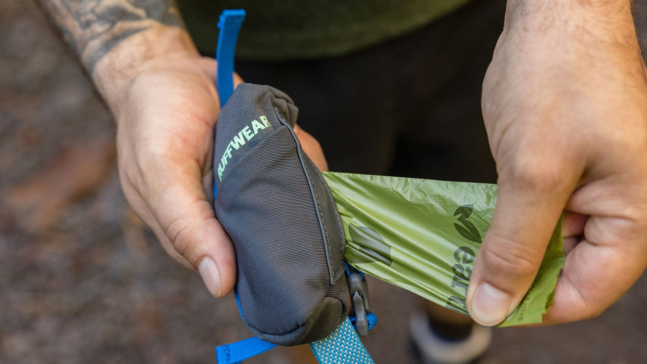 DISPENSES PICK-UP BAGS