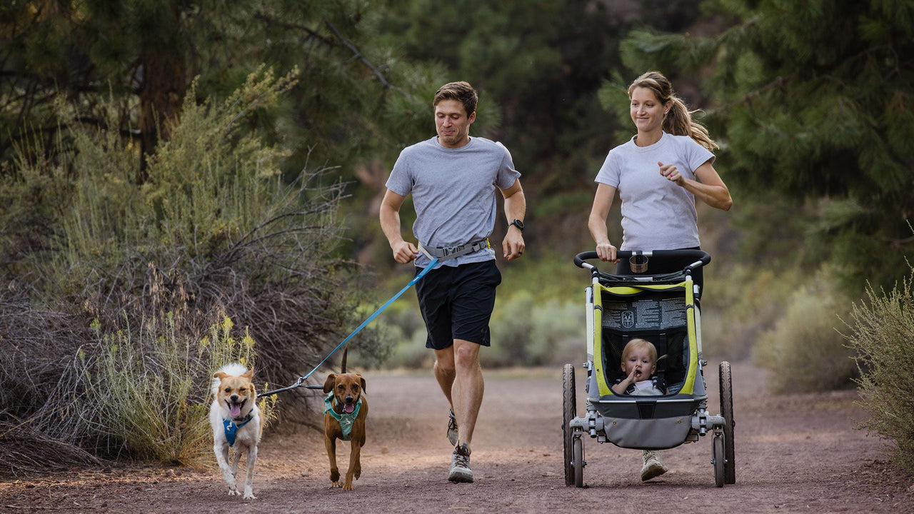 ANLEINSYSTEM FÜR ZWEI HUNDE