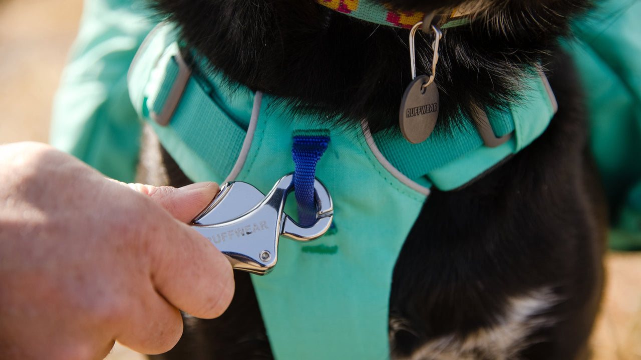 DREI BEFESTIGUNGSPUNKTE FÜR DIE LEINE