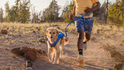 Seth trail runs with dog Rose.