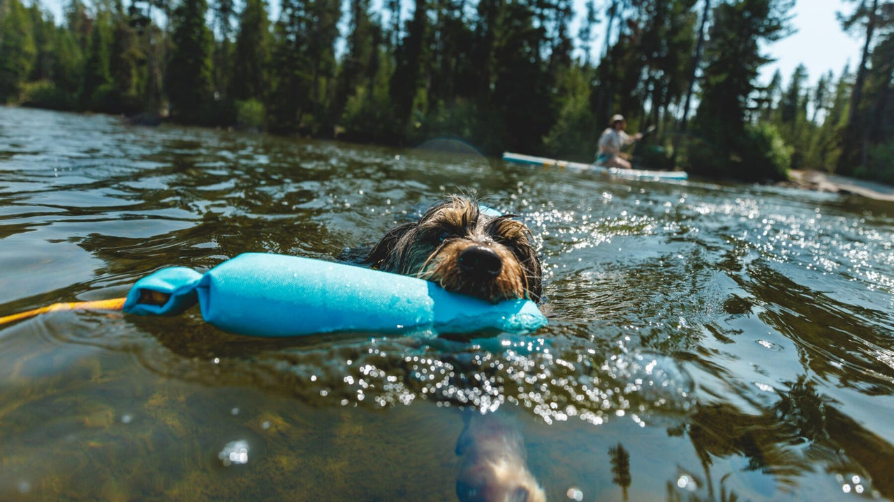 AUSGEZEICHNETE SCHWIMMEIGENSCHAFTEN