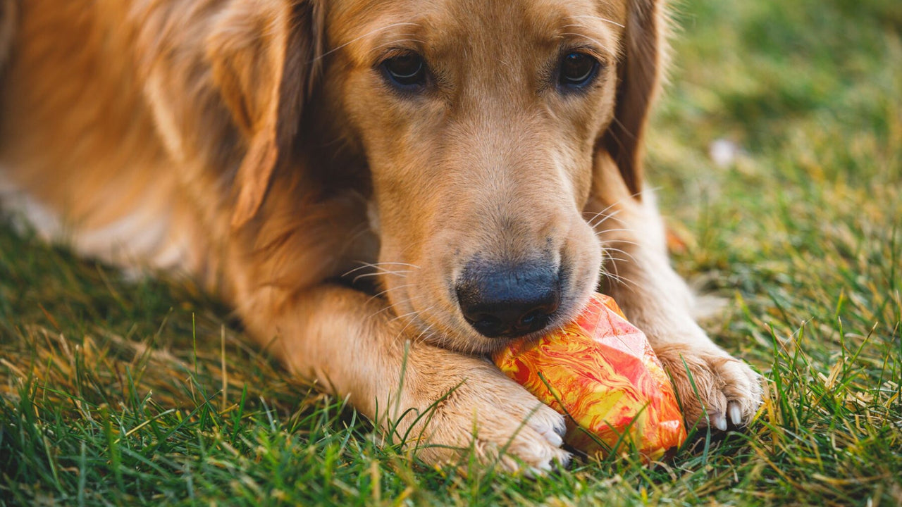 CONTIENT DES FRIANDISES