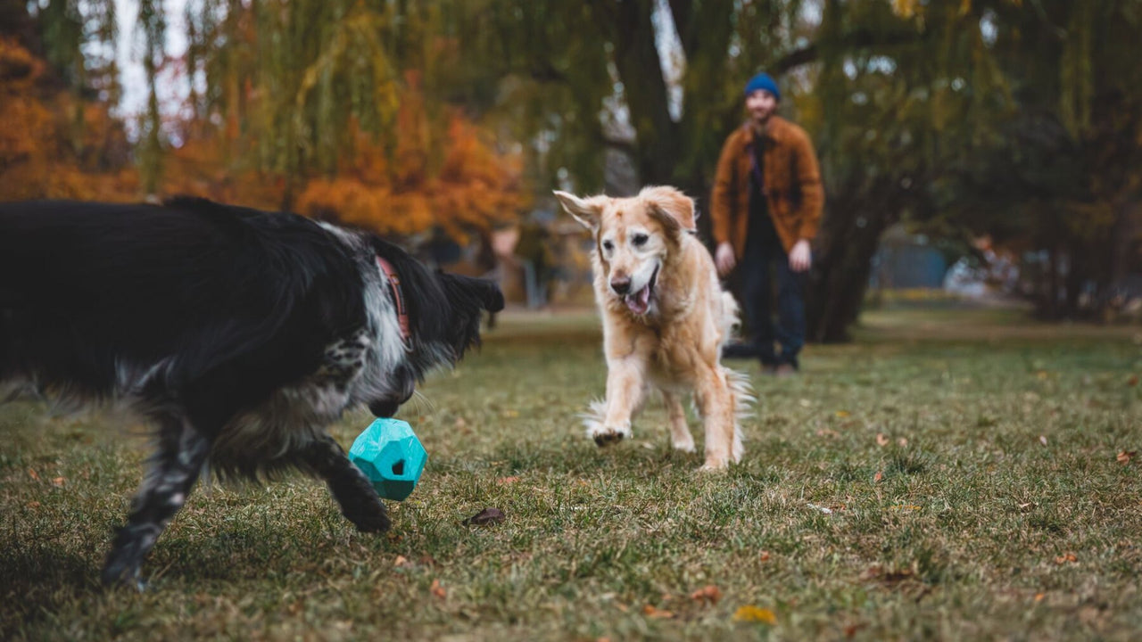 UNREGELMÄSSIGER ABSPRUNG