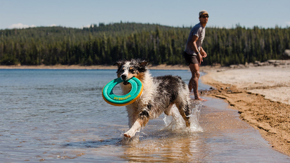 Über das schwimmfähige Hydro Plane™ Wurfspielzeug Video Thumbnail