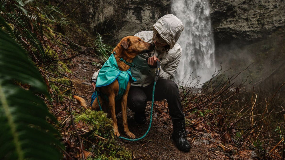 Über das Knot-a-Collar™ Video Thumbnail