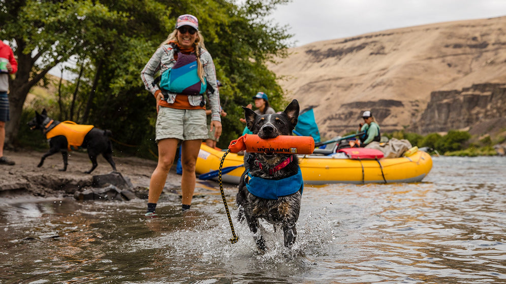Über das schwimmende Lunker™ Wurfspielzeug Video Thumbnail
