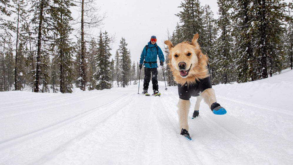 Winter Zubehör für Hunde von Ruffwear für jedes Wetter