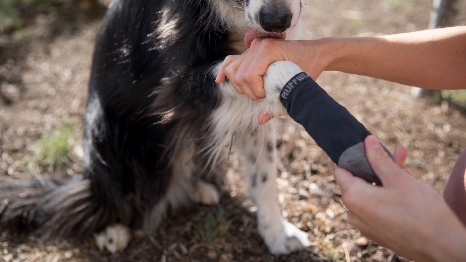 Bark n Boot Liners Hundesocken komfortabel schnell trocknend