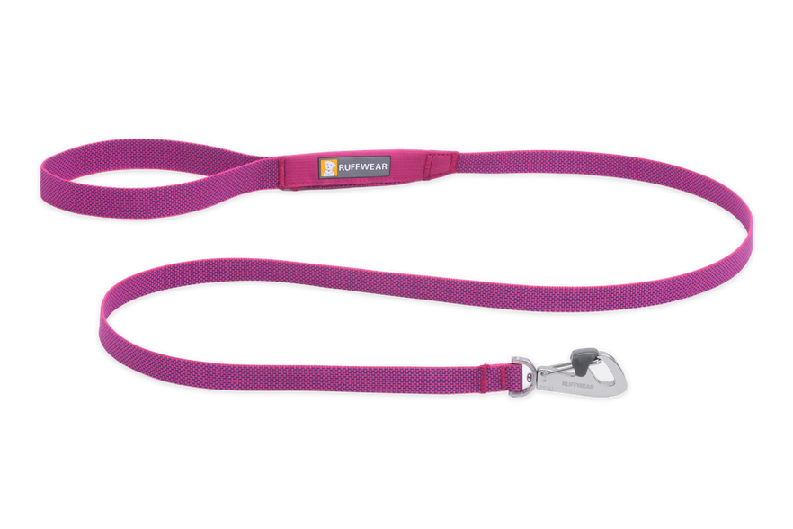 Klassische Hundeleine Aus Polyester – 1,8 M Lang, 2,5 Cm Breit, In Rosa