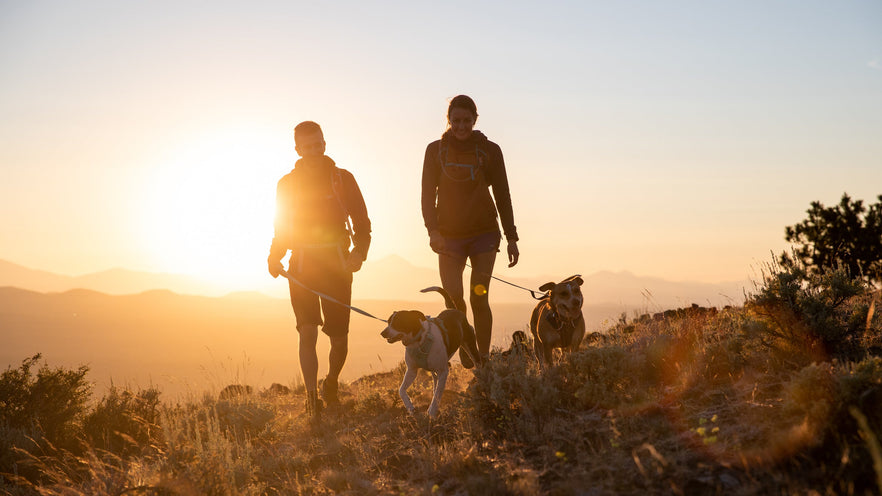 Our Pack Ruffwear Ruffwear