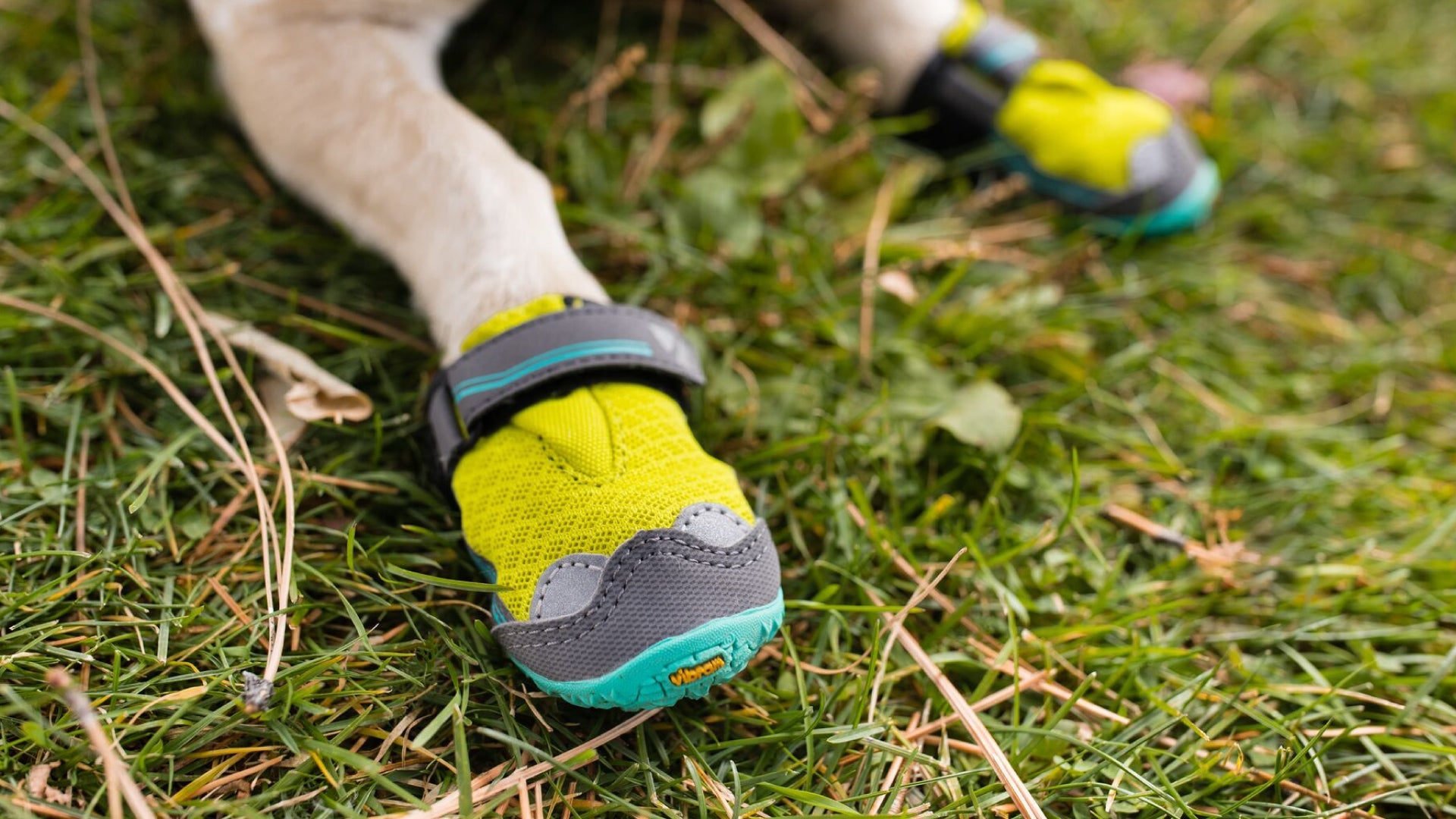 Grip Trex Hundeschuhe Ruffwear