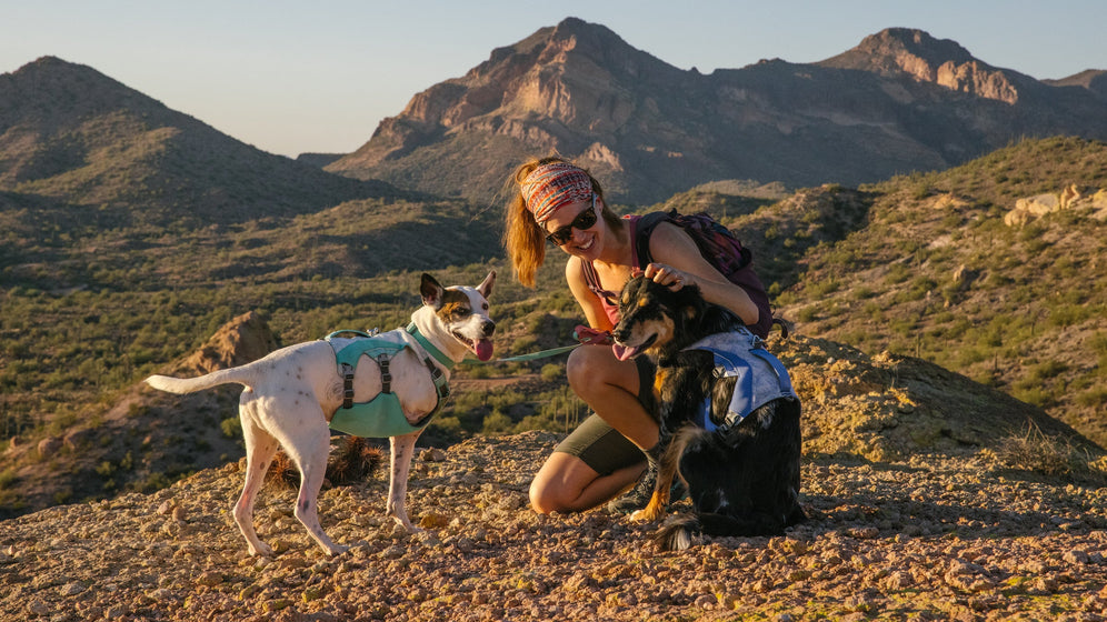 À propos du harnais Swamp Cooler™ Video Thumbnail