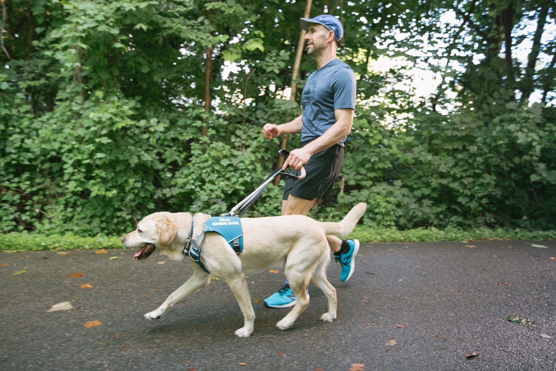 Unifly Harness Ruffwear