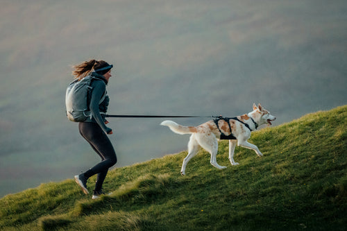 Nach Aktivität shoppen