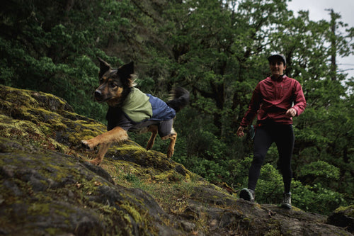 Neue Ausrüstung shoppen