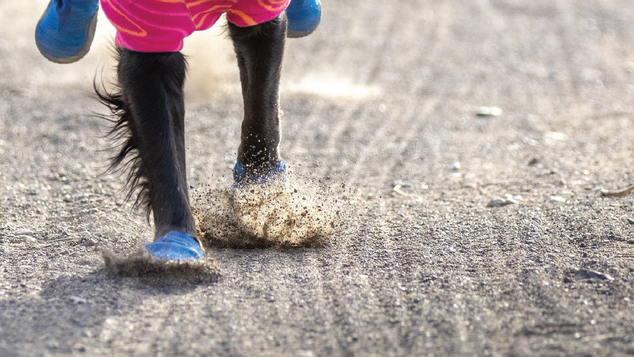 LEICHT & ATMUNGSAKTIV