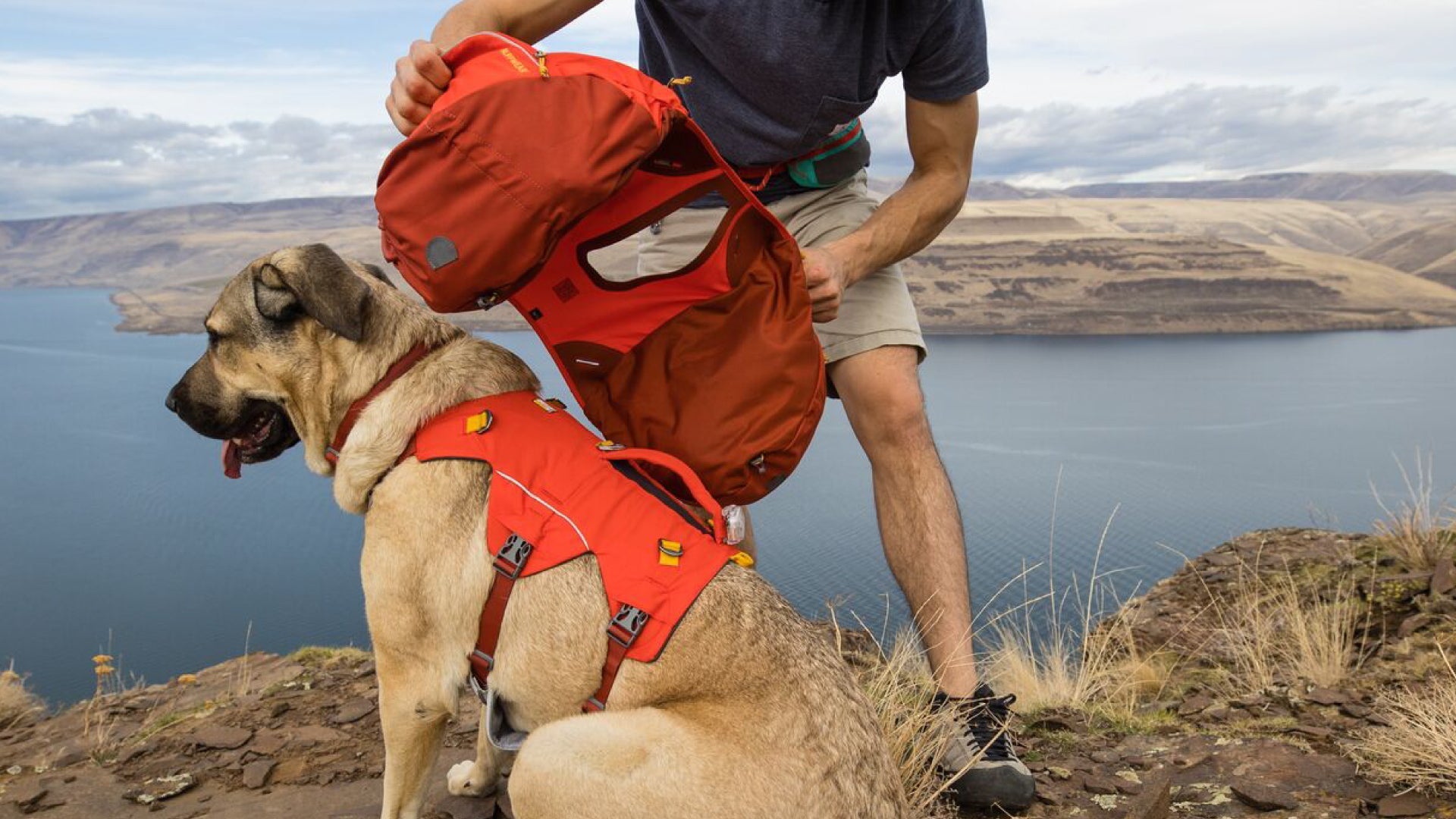 Palisades Hunderucksack Rucksack f r mehrt gige Wanderungen