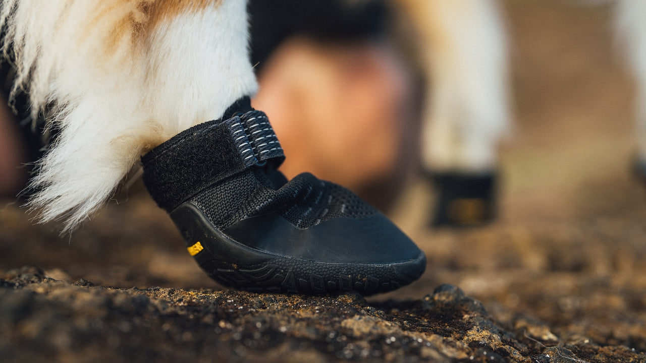 RUFFWEAR Ridgeline™ dog shoes with flexible engineered-knit upper