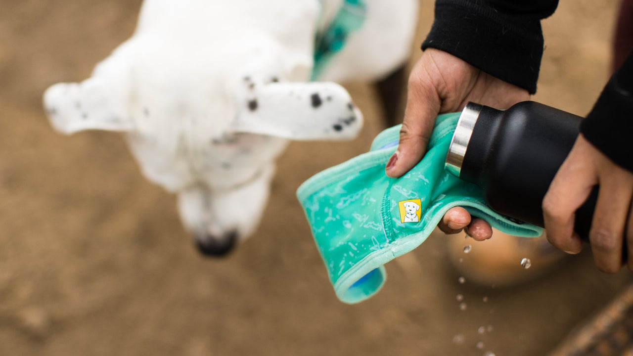 SWAMP COOLER™ TECHNOLOGIE