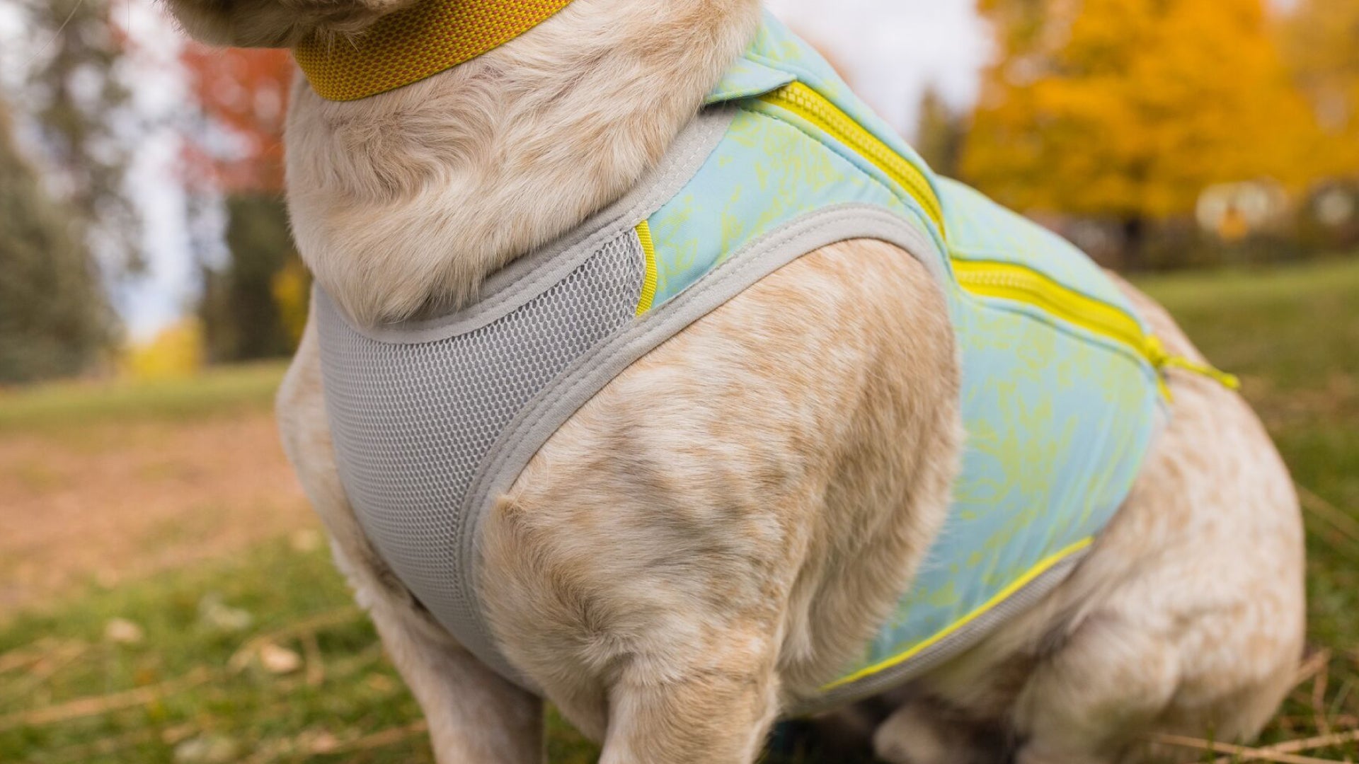 Swamp Cooler Zip K hlweste f r Hunde Ruffwear