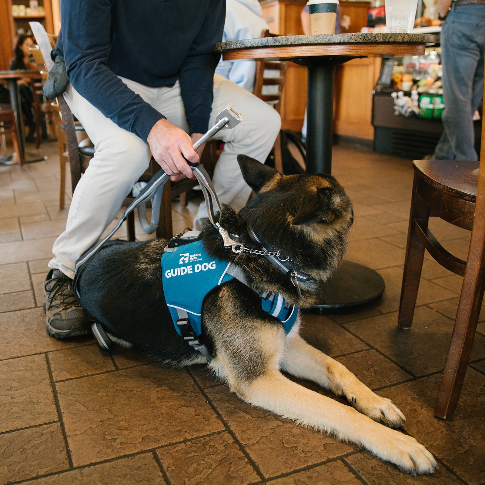 Unifly Harness Ruffwear