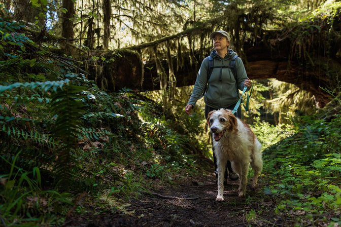Older woman hikes with older dog in the woods.