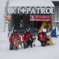 Three ski patrollers with avalanche rescue dogs sit on snow in front of patrol office.