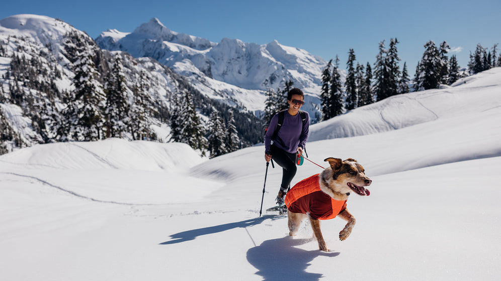 About: The Powder Hound™ Dog Jacket Video Thumbnail