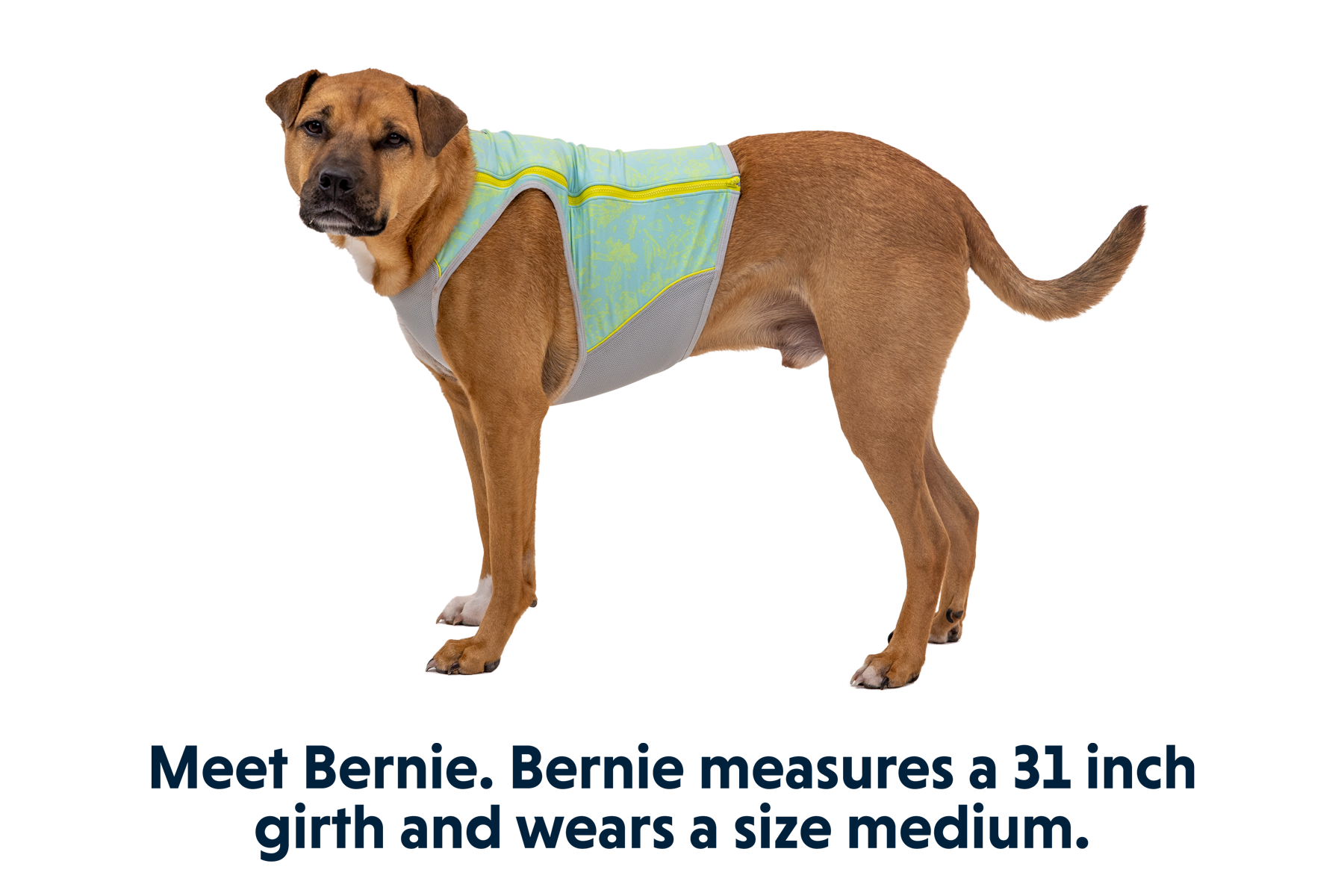 Swamp Cooler Zip™ | Ruffwear UK