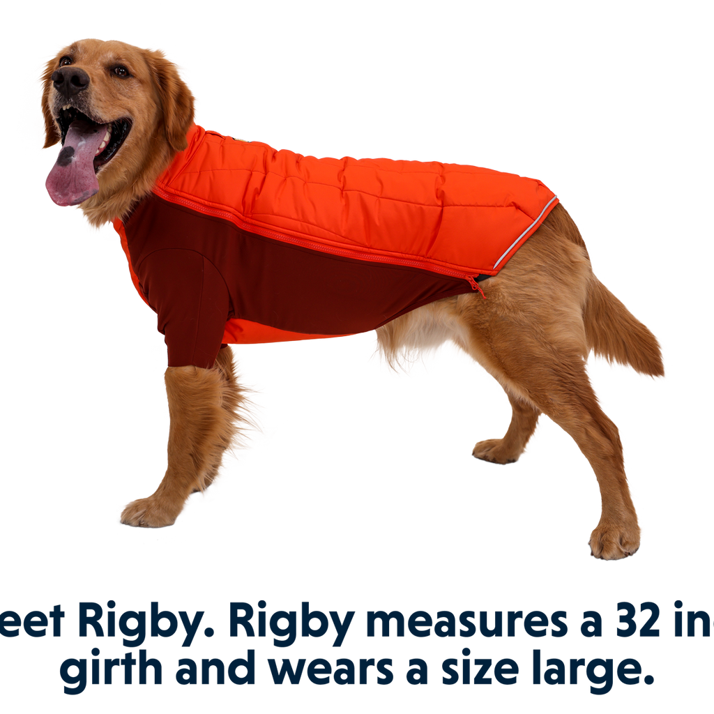 Powder Hound™ Hundejacke Ruffwear
