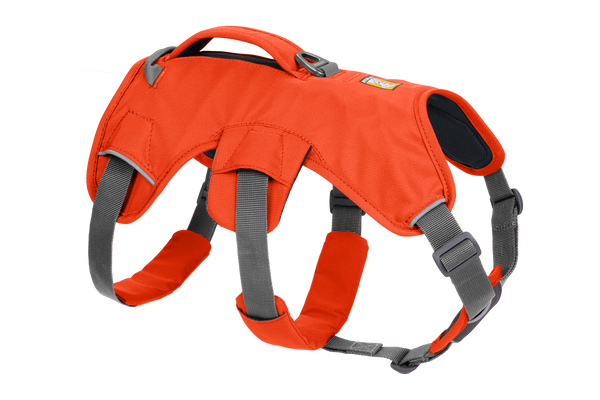 Webmaster dog harness discount