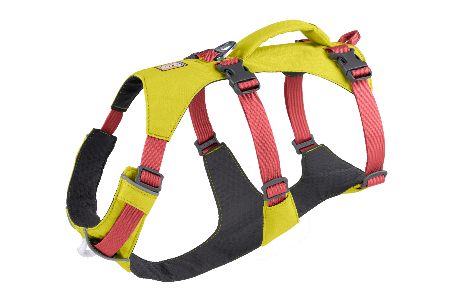 Verstellbares Hundegeschirr Mit Leine – Ausbruchsicher, Reflektierend, Für Kleine/mittelgroße Hunde – Orange, XS
