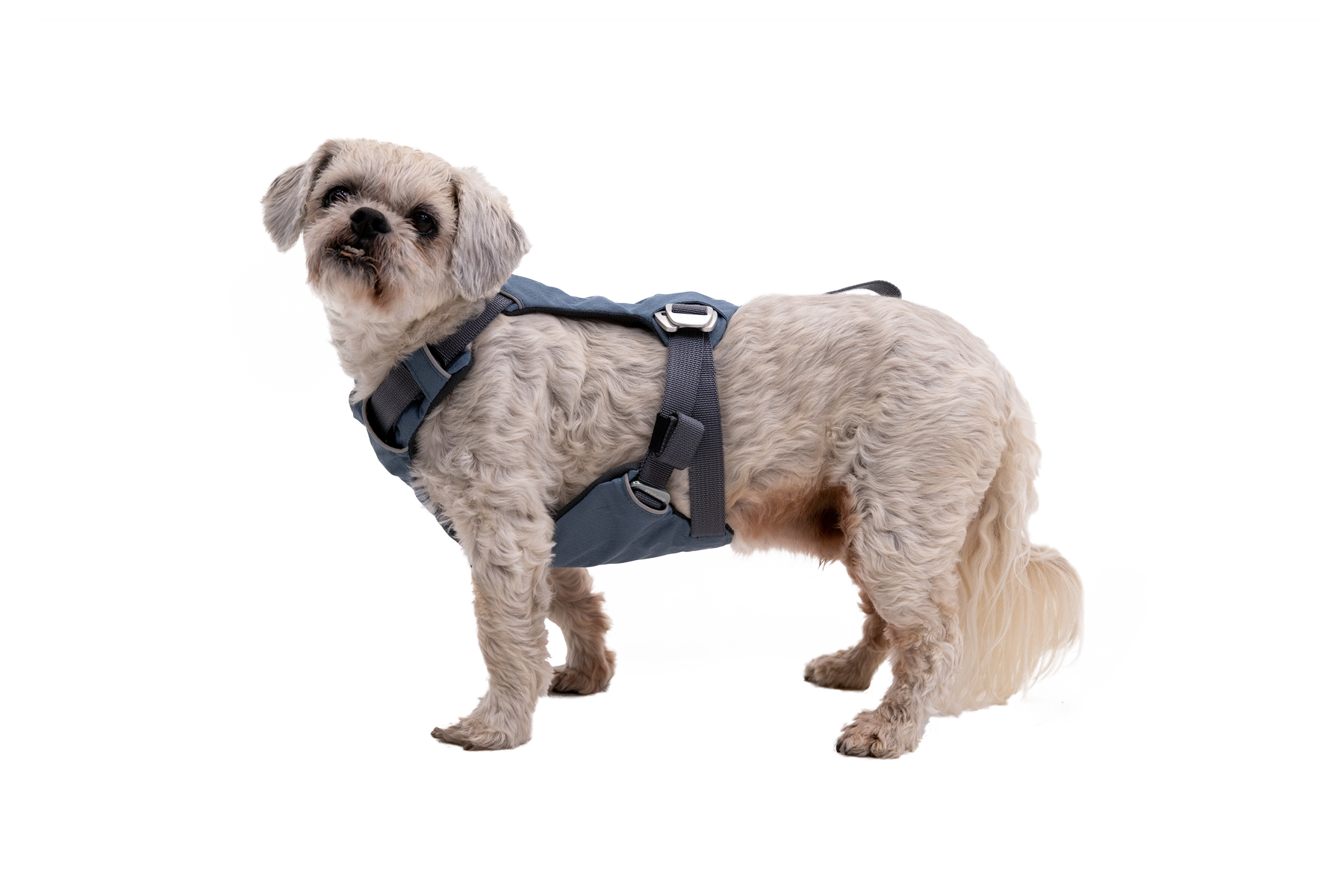 Ruffwear load up crash test on sale