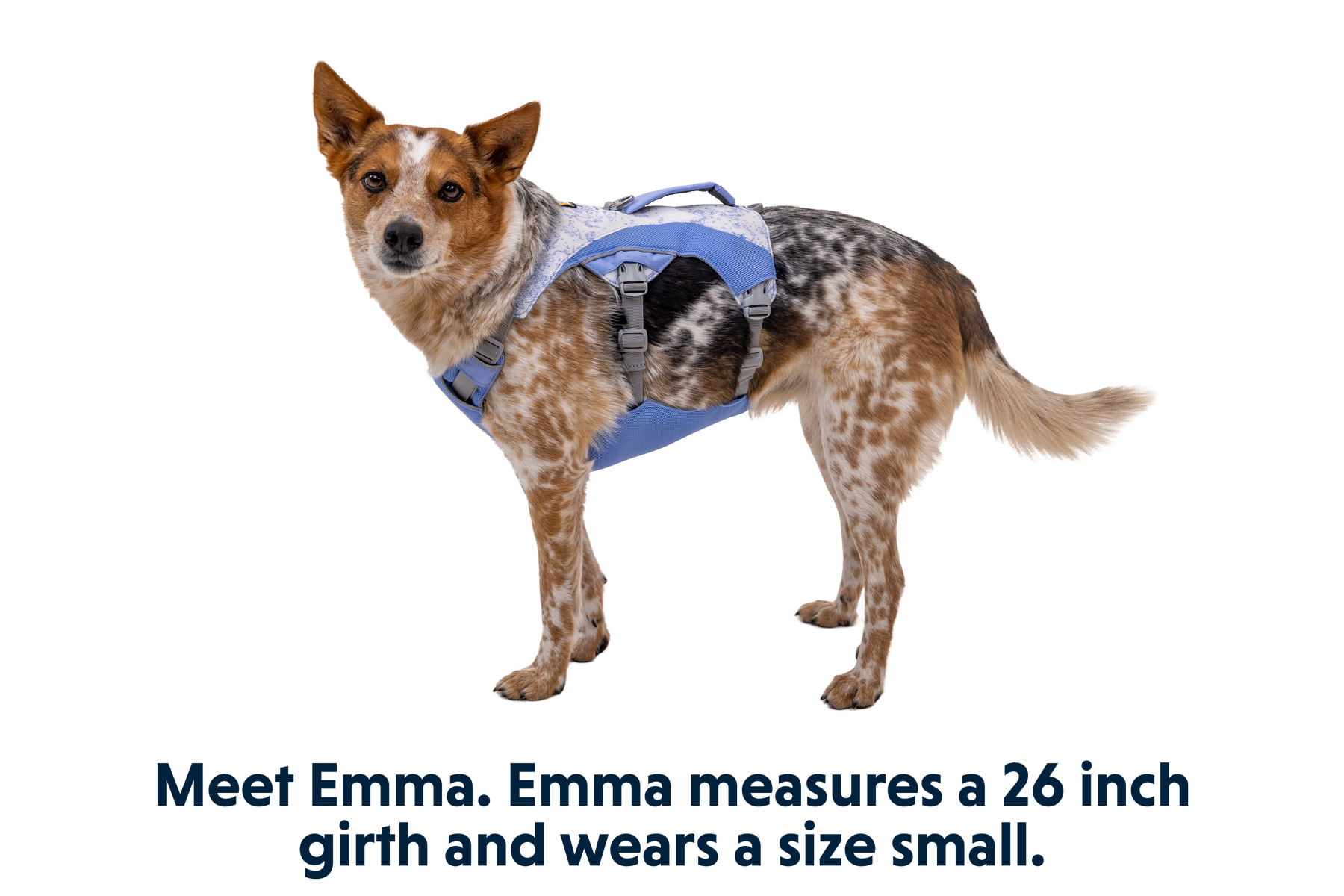 Ruffwear swamp cooler review on sale